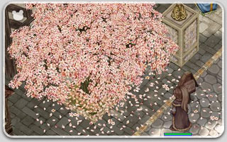新しい桜？