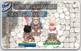 がちょこさんきた