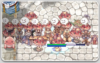 アコプリ溜まり場撮影