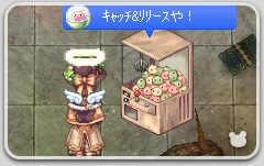 小さい翼系っ